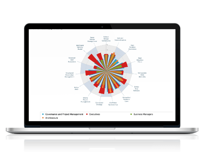 SAP Project Plan Example Template