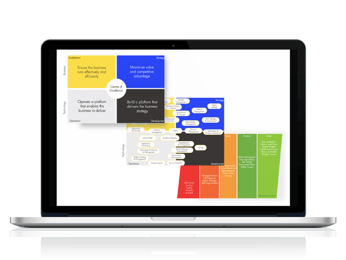 how to design SAP CoE