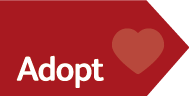 Adopt-it-red