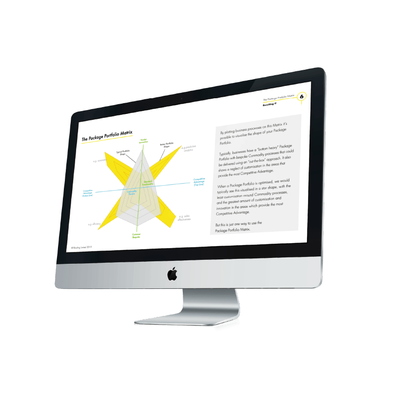 package-porfolio-matrix-erp-selection