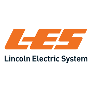 LES S/4HANA consultancy migration