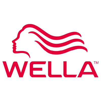 wella-s4-roadmap-business-case