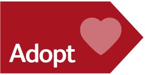 Adopt-2